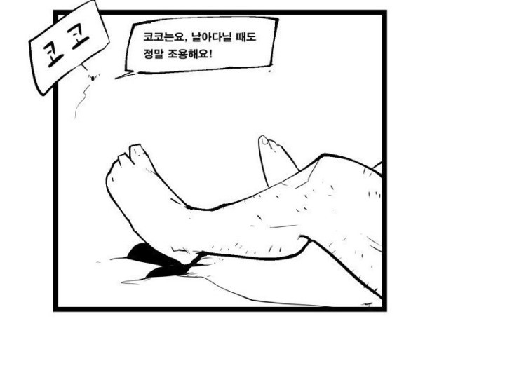 모기에게 피를 주세요 | 인스티즈