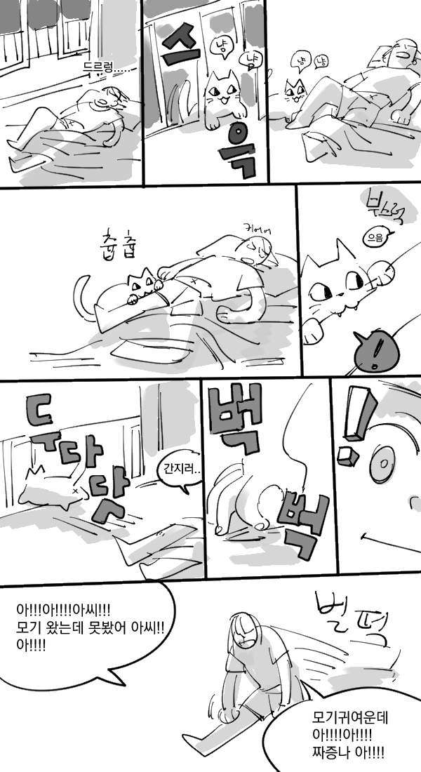모기가 고양이라면 | 인스티즈