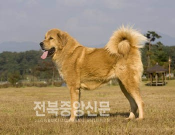사)의견문화전승회 이미지