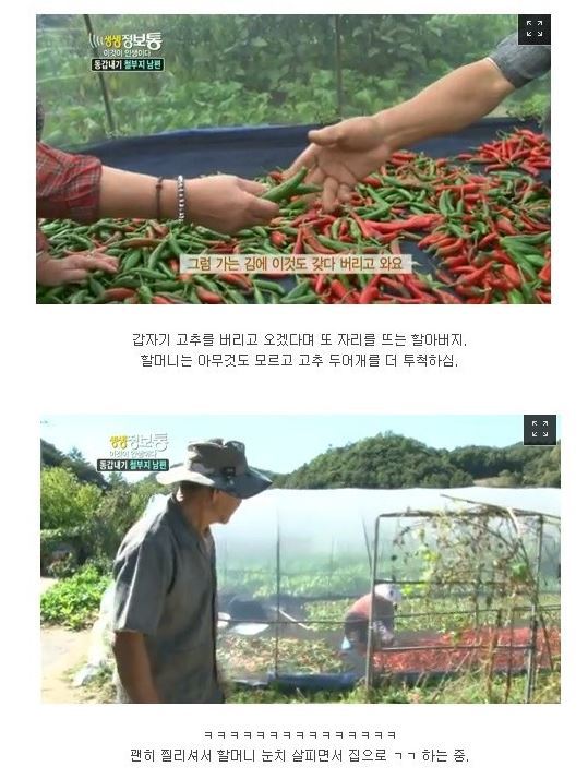 생생정보통 레전드 | 인스티즈