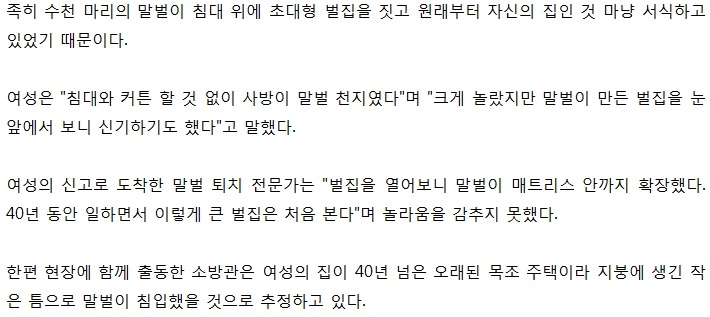 휴가 갔다 왔는데 침대에 '초대형 벌집'이 생겼어요 | 인스티즈