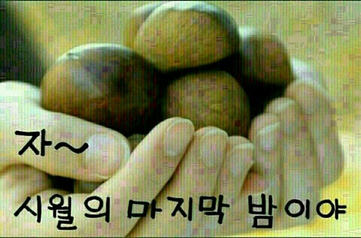 시월달 이미지