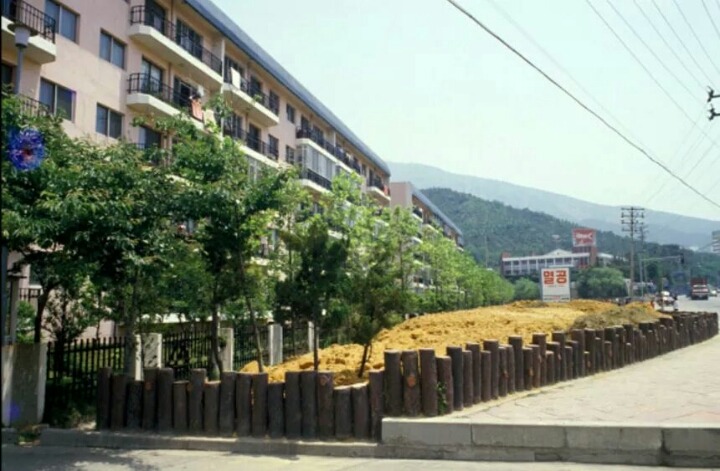 옛 부산 사진 | 인스티즈