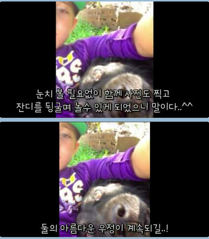 귀여운 무단침입자 | 인스티즈
