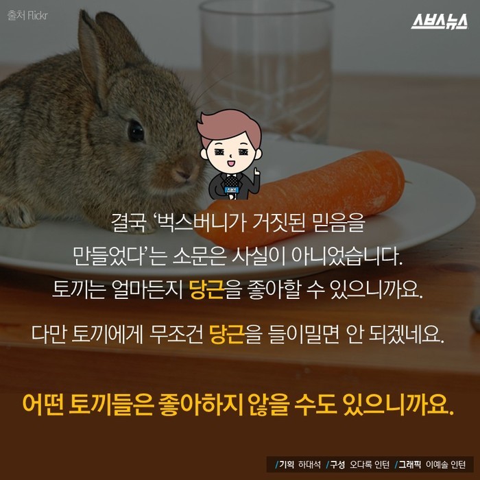  토끼가 당근을 못 먹는다고요? | 인스티즈