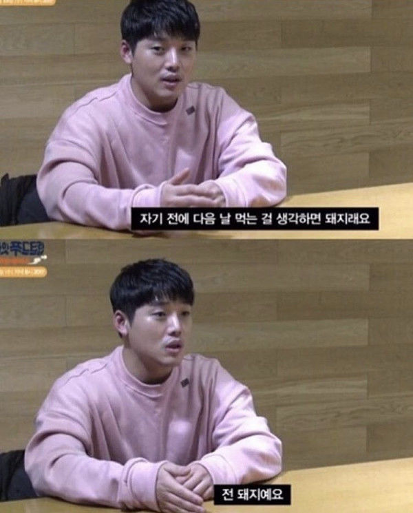 돼지의 정의 | 인스티즈