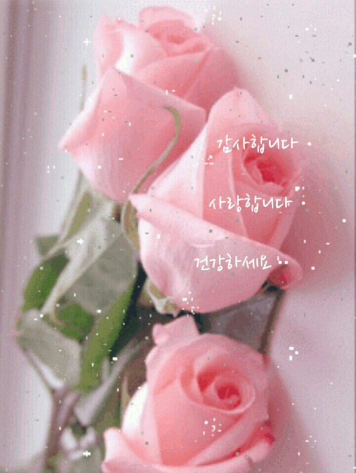 영서네 이미지