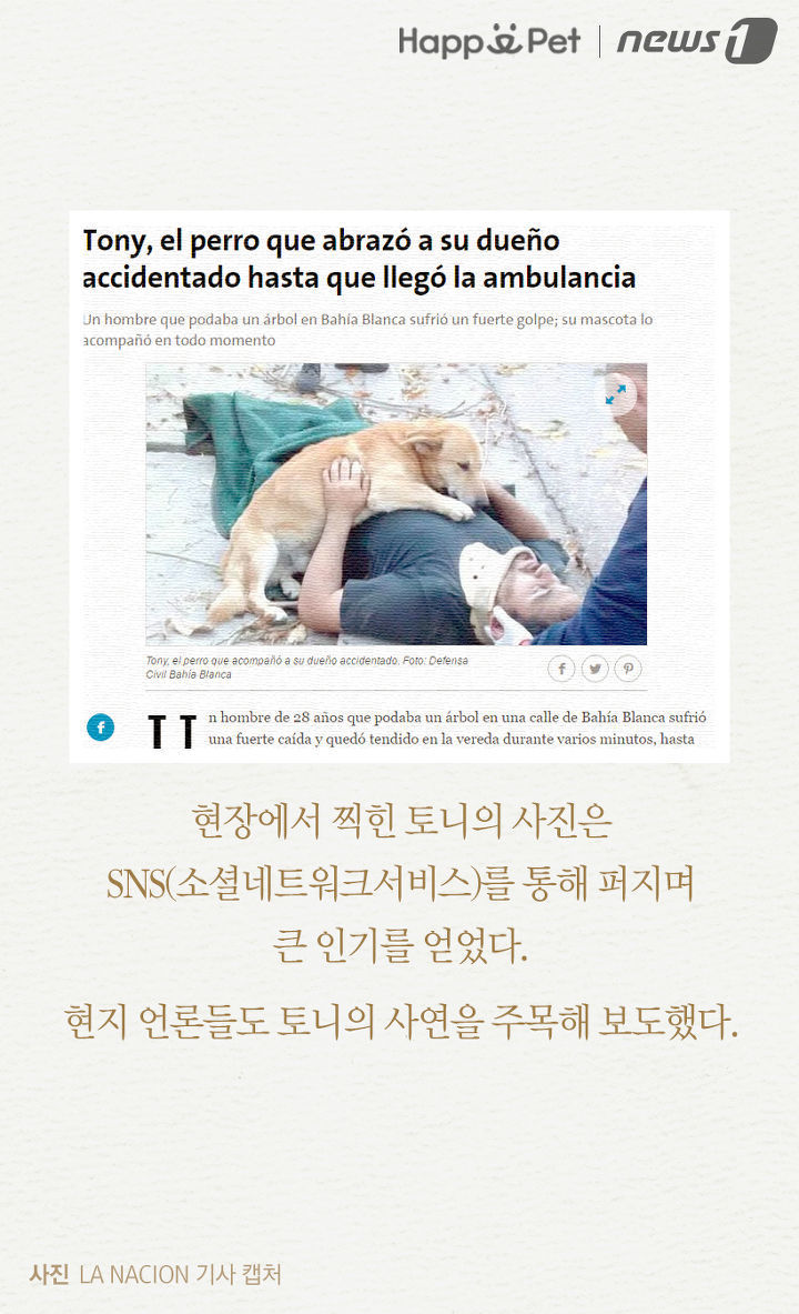 내 주인님 좀 살려주세요ㅜㅜ | 인스티즈