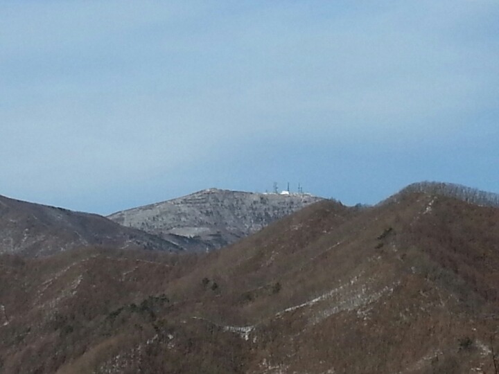 유일사 이미지
