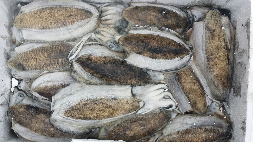 격포 점빵 이미지
