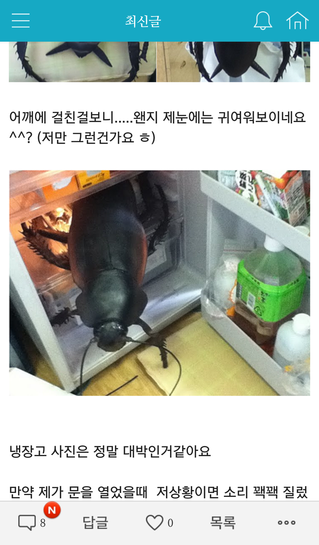 흔하지 않은 관심종자 (혐오주의) | 인스티즈