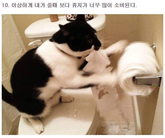 여자와 같이 살면 생기는 일들 | 인스티즈