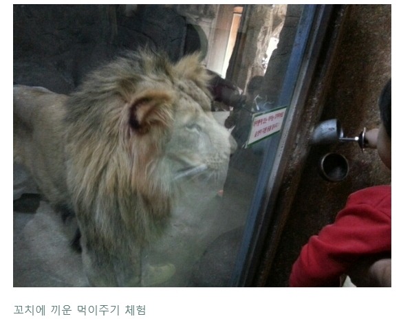 현재 난리난 동물농장 삼순이가 보내졌다는 부경동물원 상태..... | 인스티즈
