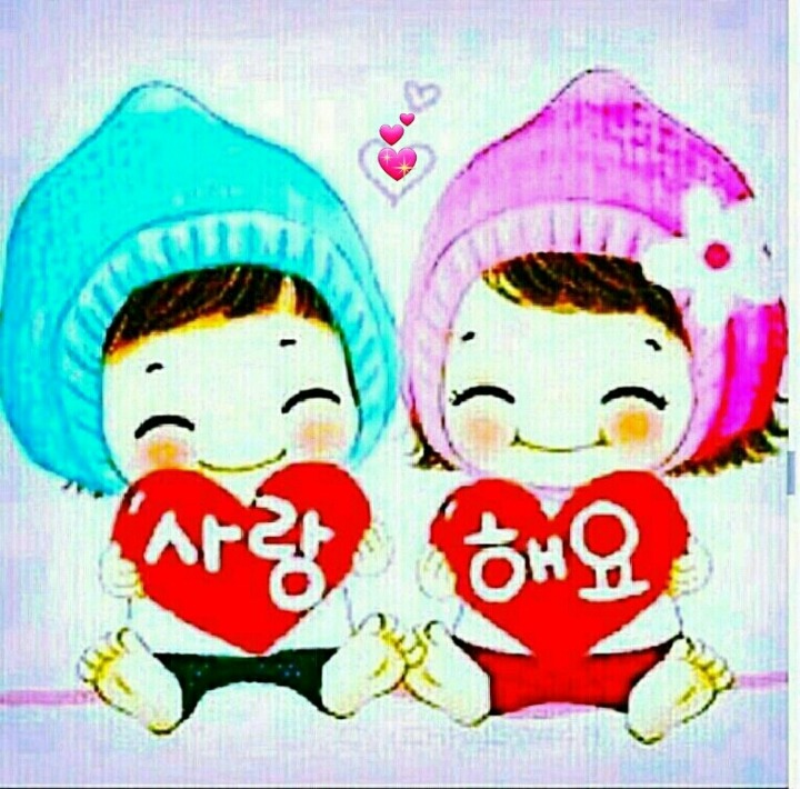 세실 이미지
