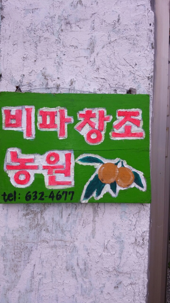 왕도토리 이미지