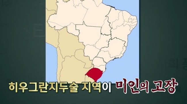 남미 최대 미인 배출 지역.jpg | 인스티즈