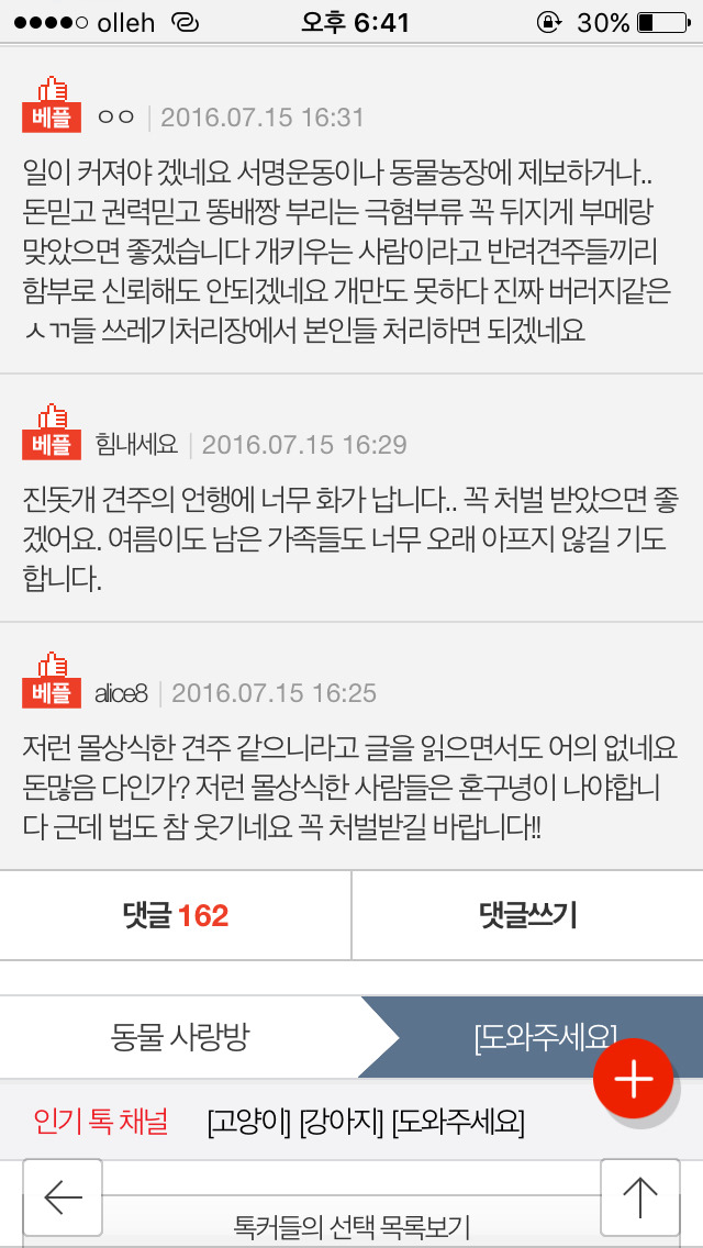 저희 개가 (여름이) 다른 개에게 물려 죽었습니다...(사진) | 인스티즈