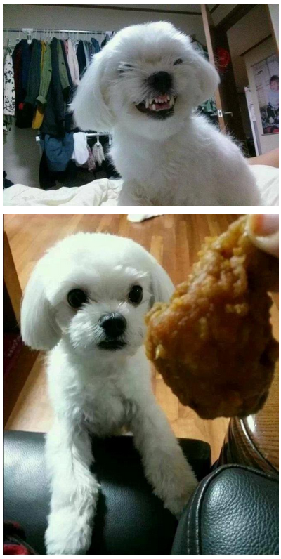 흔한 디자이너 채용공고 | 인스티즈