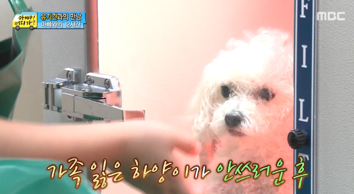 [아빠어디가] 유기견을 대하는 윤후의 태도 .jpg | 인스티즈