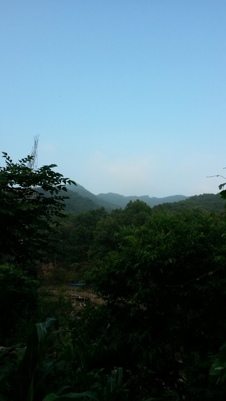 텃밭2 이미지