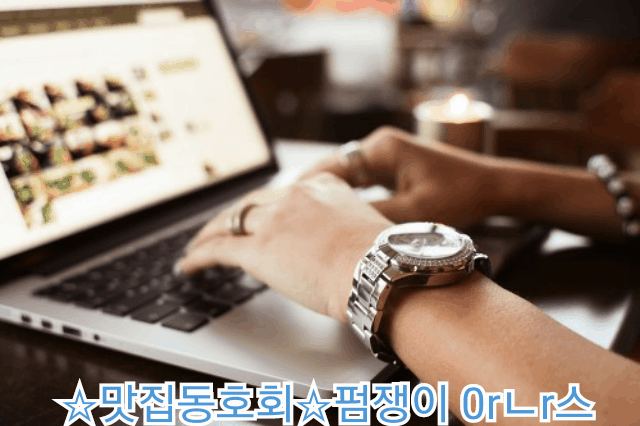 나들이 가고 싶은 당신께 추천하는 카메라 6선 bgm | 인스티즈