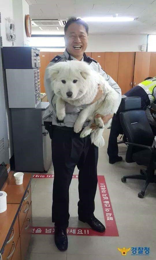 경찰서를 지키는 강아지.jpg | 인스티즈