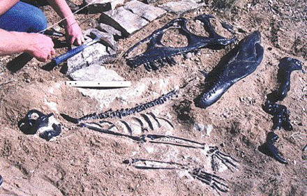 풀리지 않는 고대 미스테리 유물들 | 인스티즈