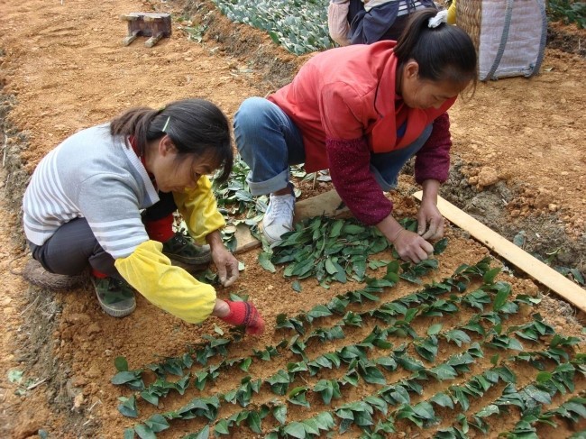 순화 이미지
