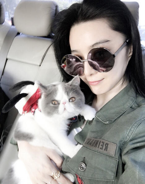 판빙빙 고양이.jpg | 인스티즈