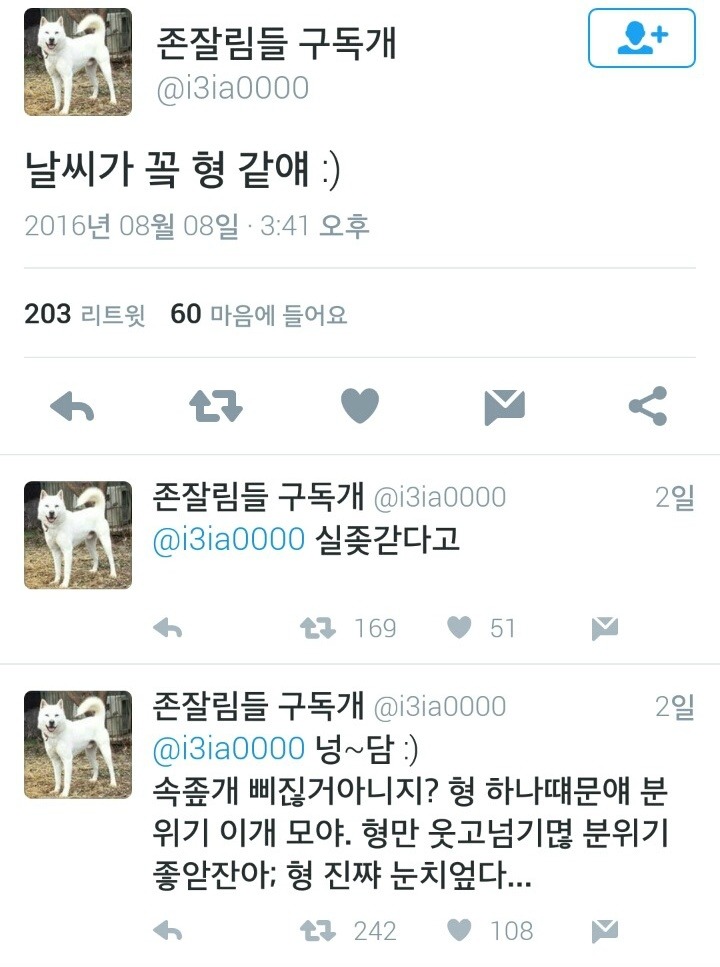 구독개의 남초싸이트 한줄평가.JPG | 인스티즈