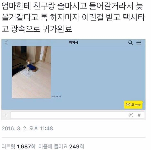 멍멍이때문에 일찍 집에간다하면 보내주라!!광광!! | 인스티즈