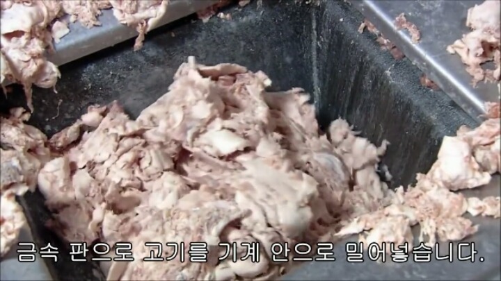 핫도그 소시지가 만들어지는 과정-1 | 인스티즈