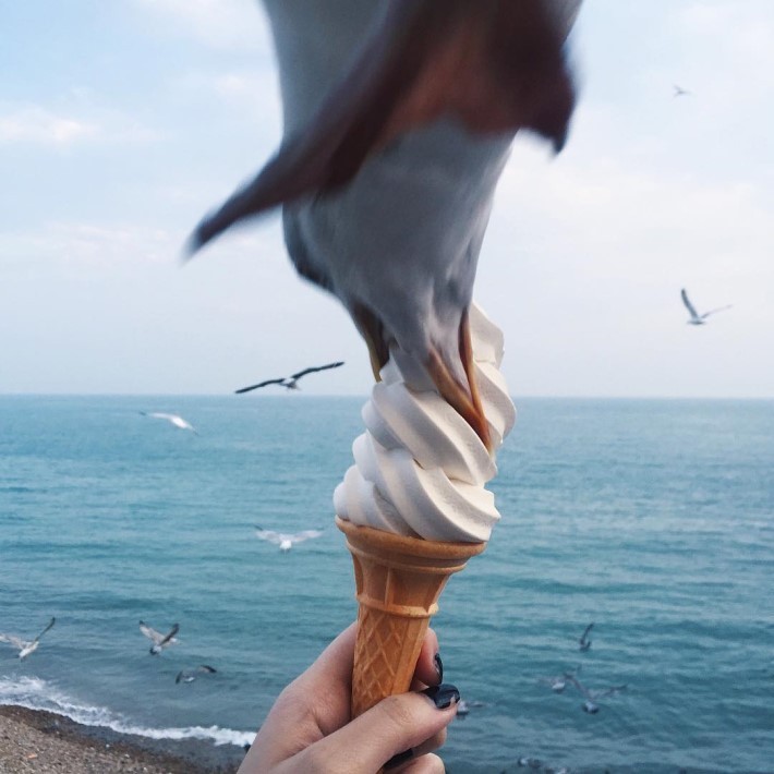 바다에서 아이스크림 인증 사진 찍으면 안되는 이유 | 인스티즈