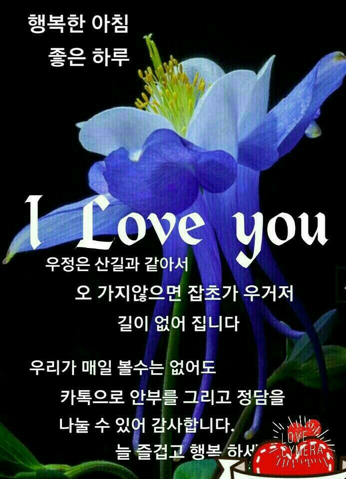 행복한 아침 이미지