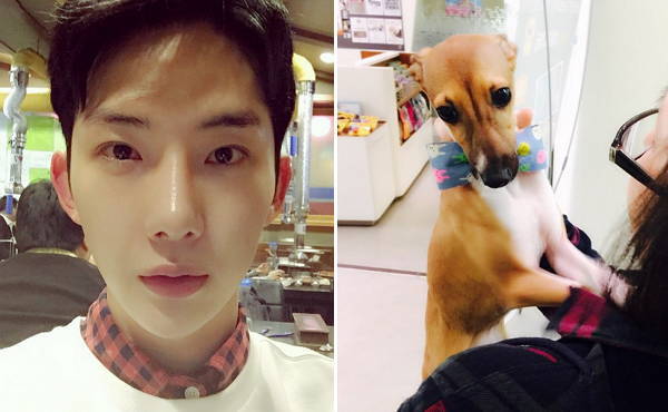 반려동물 사지 않고 입양한 연예인들.jpg | 인스티즈