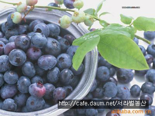 행복농산 이미지