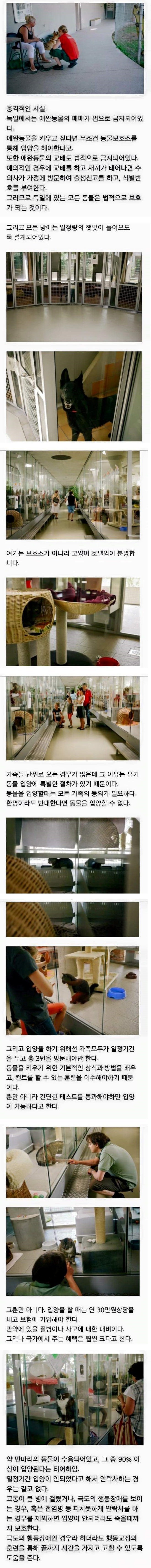 독일의 애완동물 제도 | 인스티즈