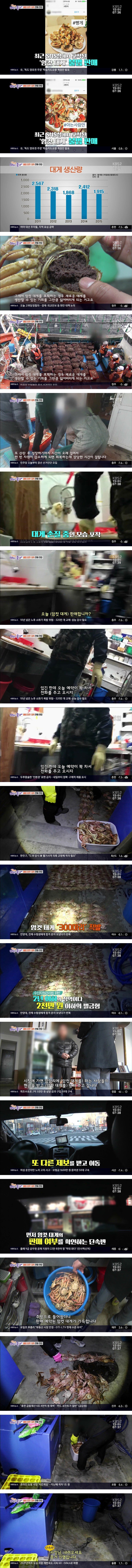 대게 씨가 마르는 중 | 인스티즈