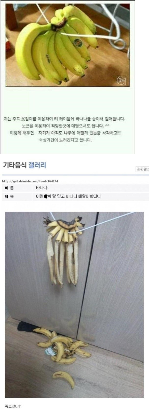 바나나 오래 보관하는 법.jpg | 인스티즈