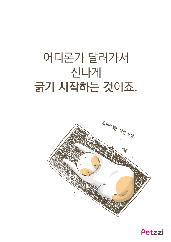 고양이가 긁는 이유(만화).jpg | 인스티즈