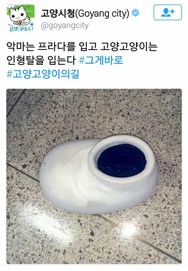 고양시청 근황.jpg | 인스티즈