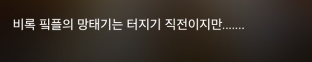 특이한 곳에 털이 자라는 까칠한 매력의 고양이 | 인스티즈