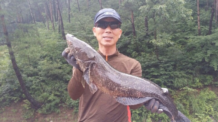 오늘의해장 이미지