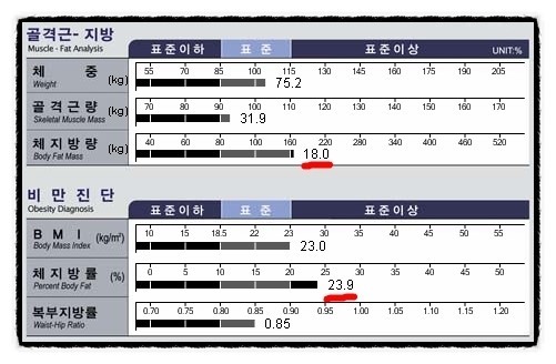 구미피티 이미지