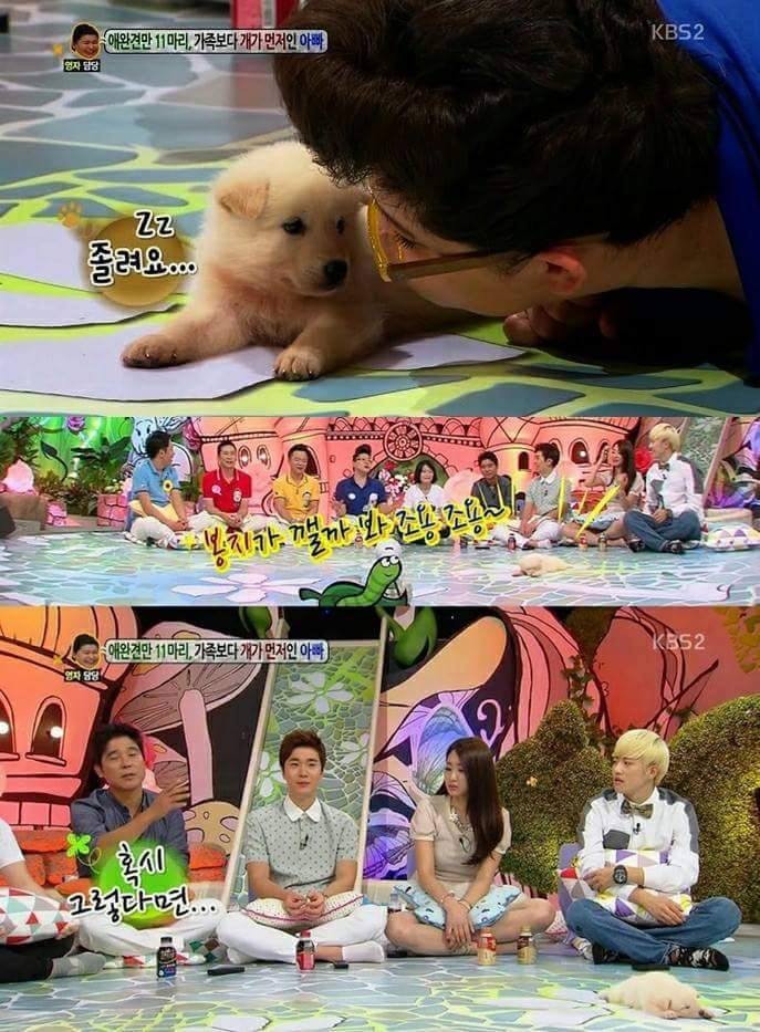 예능 나와서 대놓고 잠.. | 인스티즈