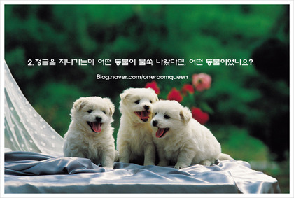 무의식 이미지