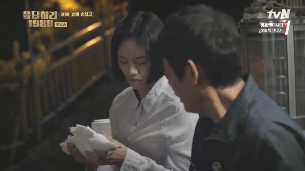 오늘자 응팔에서 혜리가 가져온 비둘기의 정체.jpg | 인스티즈