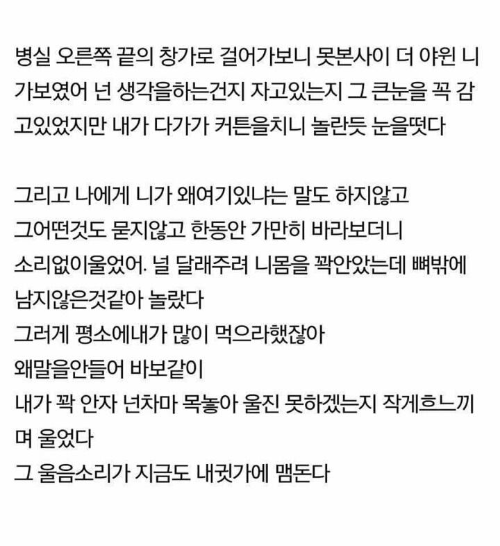 너에게 남기는 편지 그리고 너에게 보내는 답장 | 인스티즈