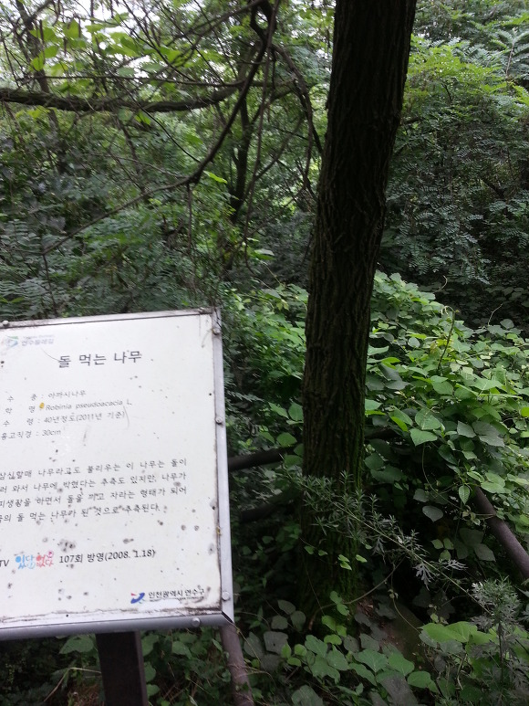 인천사 이미지