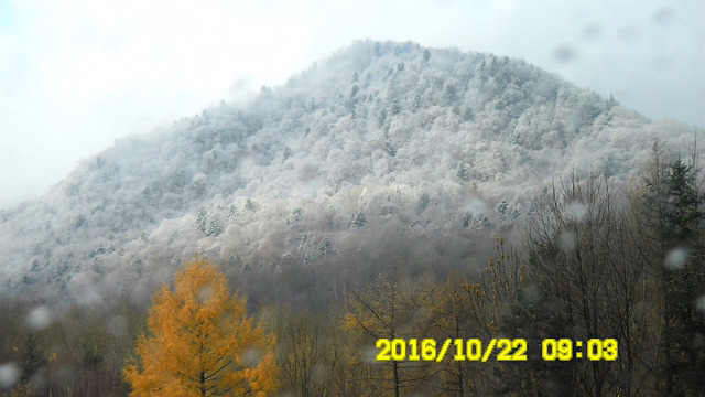 봉림장 이미지